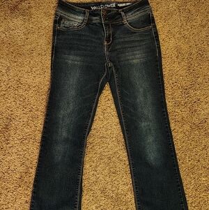 Women's/Juniors WallFlower the Luscious Curvy Fit Jeans